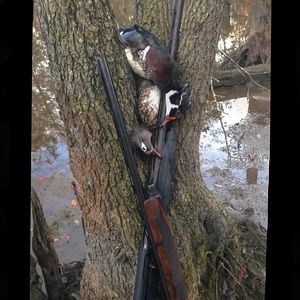 Meet your Posher, Preston